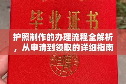 寮步护照制作的办理流程全解析，从申请到领取的详细指南