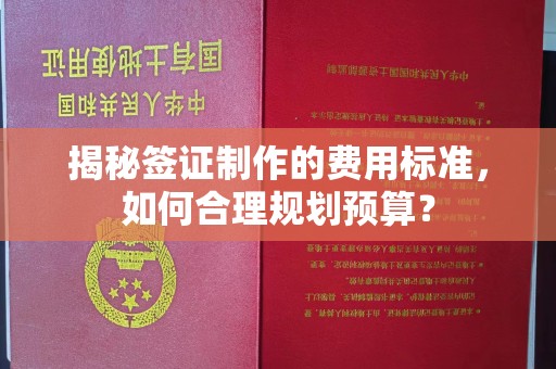寮步揭秘签证制作的费用标准，如何合理规划预算？