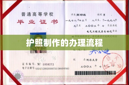 寮步护照制作的办理流程
