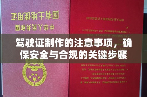 寮步驾驶证制作的注意事项，确保安全与合规的关键步骤