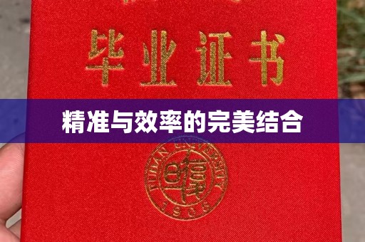 寮步精准与效率的完美结合
